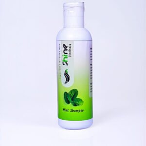 Mint Shampoo